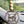 Car Charm Ornament