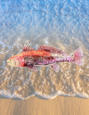 Punta Gorda Redfish Magnet