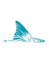 Redfish Tail Decal
