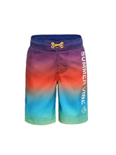 Boy's Quick dry UPF 50 Swim Trunks (4 options)